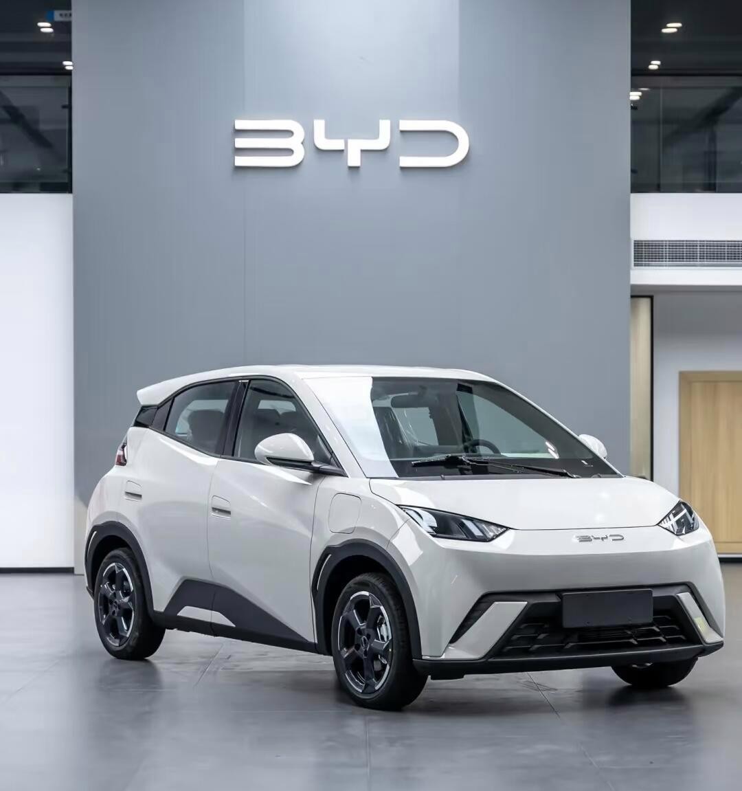BYD Seagull