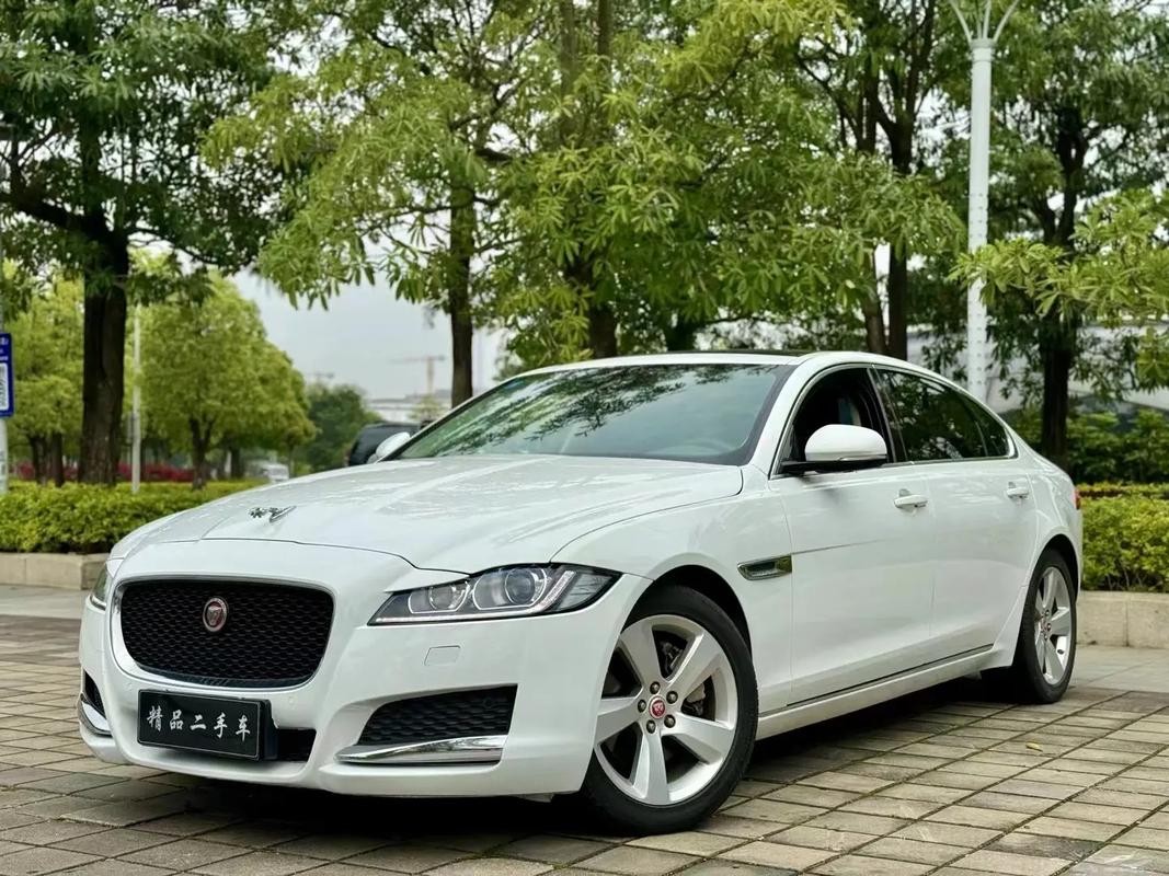 Jaguar